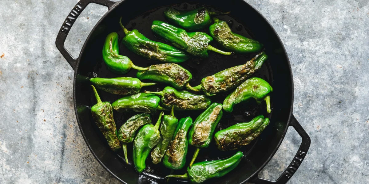 Leckere Pimientos de Padron serviert auf einem Teller.