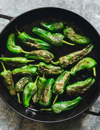 Leckere Pimientos de Padron serviert auf einem Teller.