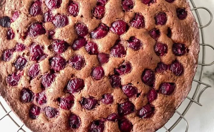 Veganer Schokoladen-Kirschkuchen auf einem Tisch dekoriert mit Kirschen