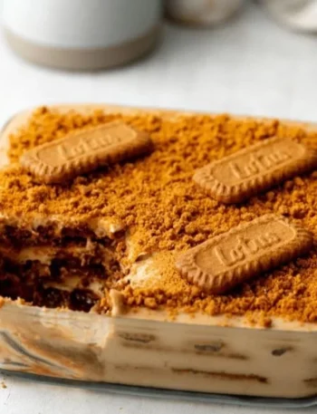 Vegan Biscoff Tiramisu Dessert mit Keksen und cremiger Schicht