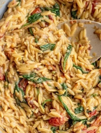 Cremige Tomaten-Orzo mit knusprigen Tofu-Panels auf einem Teller