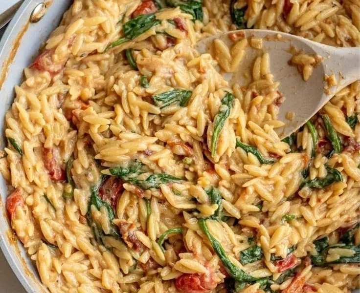 Cremige Tomaten-Orzo mit knusprigen Tofu-Panels auf einem Teller