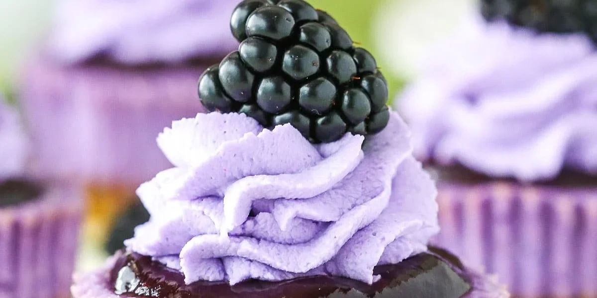 Mini Blackberry Lavender Cheesecakes mit einem Hauch von Lavendel