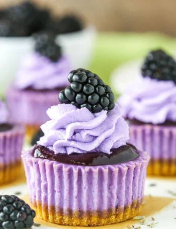 Mini Blackberry Lavender Cheesecakes mit einem Hauch von Lavendel
