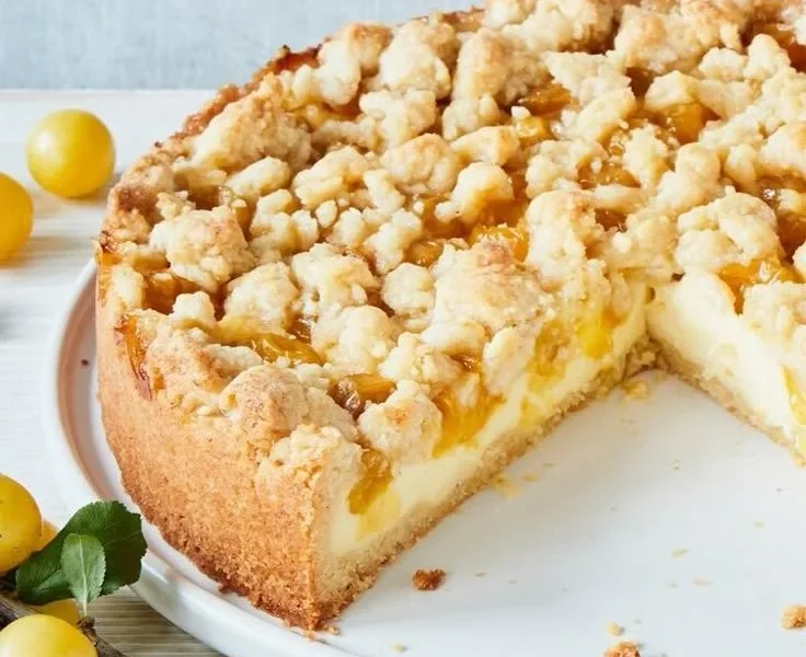 Saftiger Mirabellenkuchen mit cremiger Puddingfüllung auf einem Teller