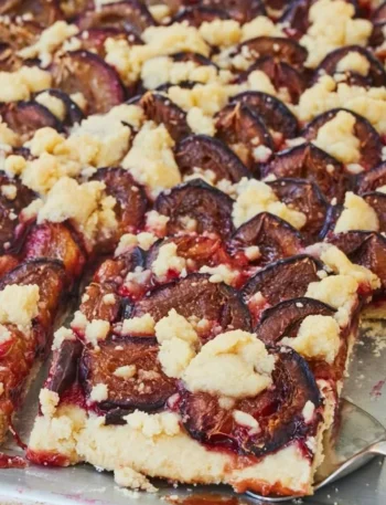 Zwetschgenkuchen mit Hefeteig, frisch gebacken und lecker angerichtet.