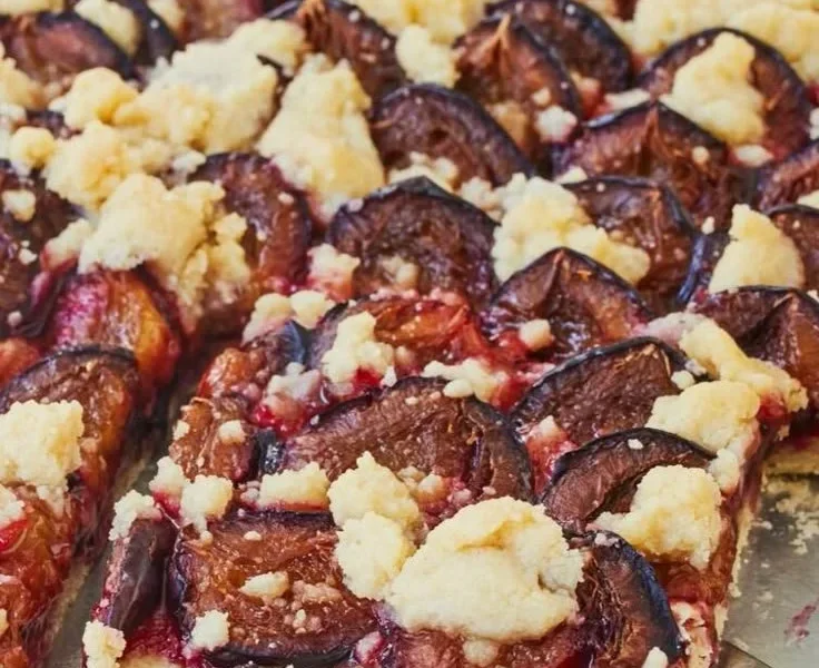 Zwetschgenkuchen mit Hefeteig, frisch gebacken und lecker angerichtet.